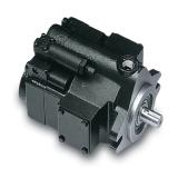 PAKER PAV10 Piston Pump